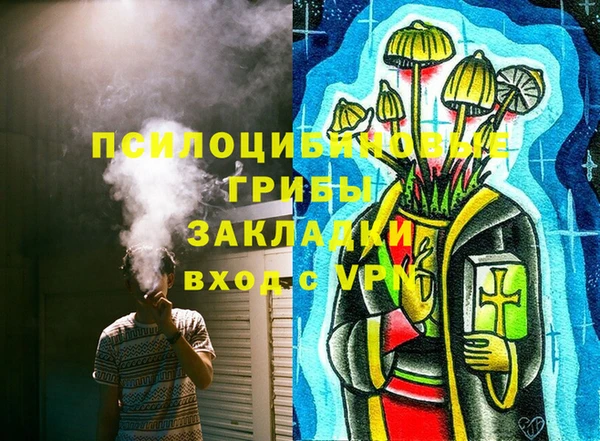 тгк Балахна